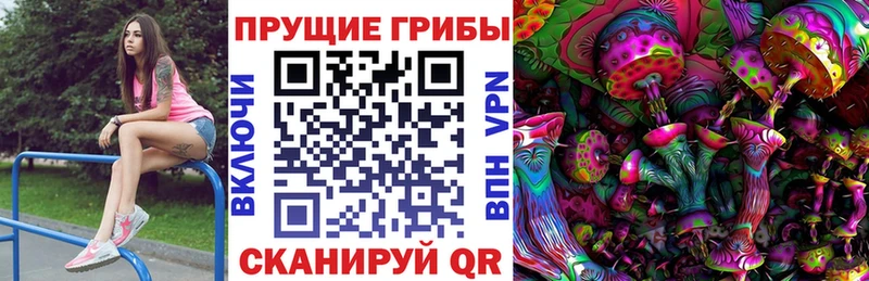 Псилоцибиновые грибы прущие грибы  Ангарск 