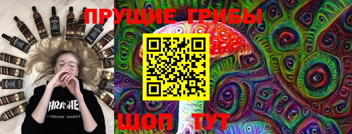 Галлюциногенные грибы Psilocybine cubensis  Ангарск  Галлюциногенные грибы GOLDEN TEACHER 