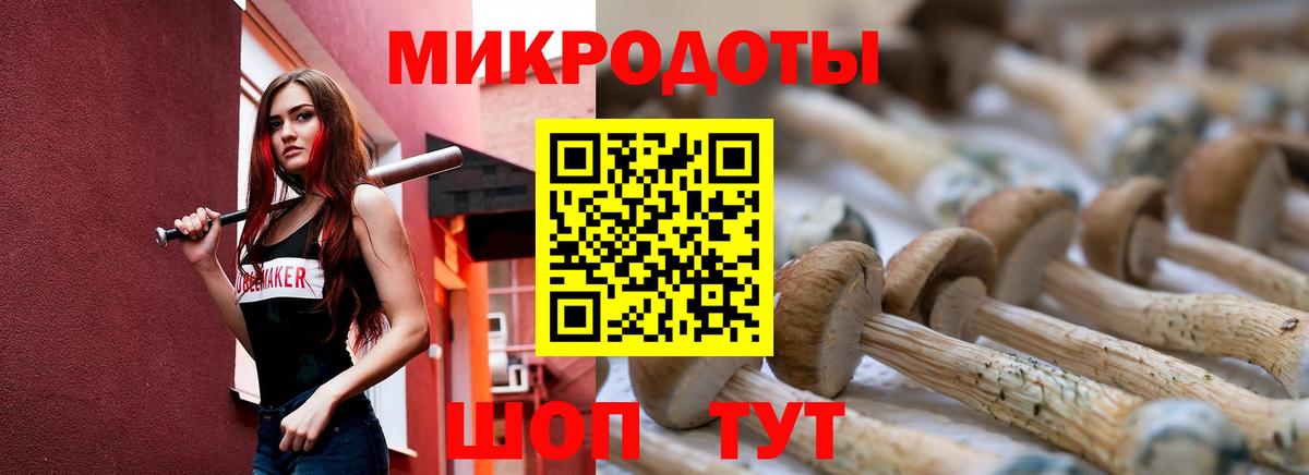 Ангарск  Псилоцибиновые грибы мицелий  Вход с VPN 