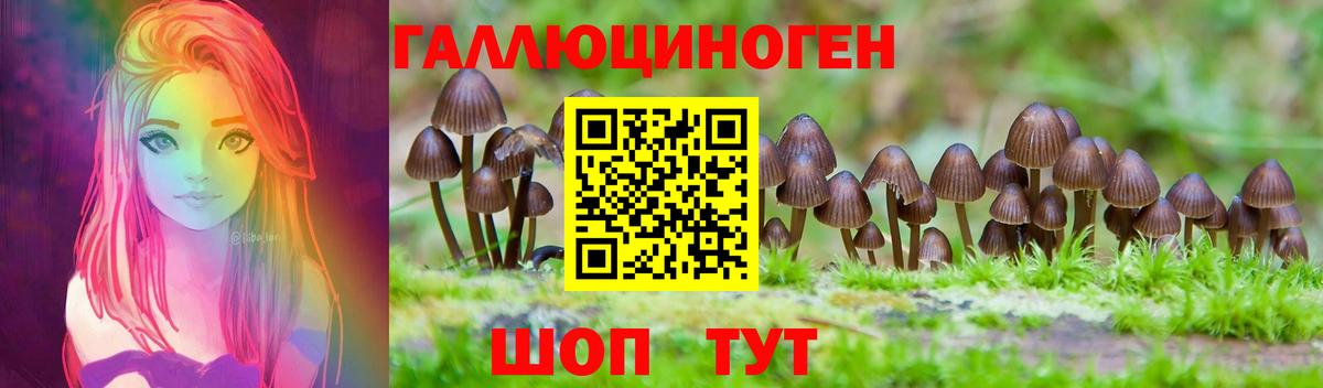 Галлюциногенные грибы GOLDEN TEACHER  Вход с VPN  Псилоцибиновые грибы прущие грибы  Ангарск 